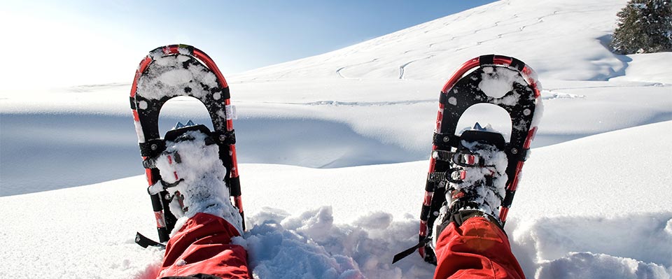 Schneeschuhwandern im Schnalstal